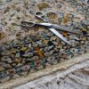 renowacja runa dywanu