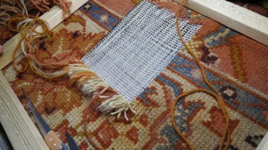 Renowacja runa dywanu